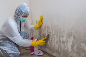 Best Crawl Space Mold Remediation in Millen, GA